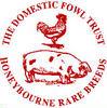 The Domestic Fowl Trust image 2