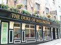 The Duke Of Wellington image 2