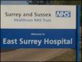 The East Surrey Hospital logo