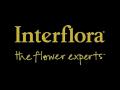 The Flower Lounge logo