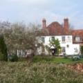 The Furze Bush Inn image 3