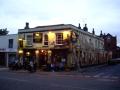 The Golden Lion image 2