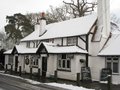 The Green Man image 3