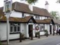 The Green Man image 5