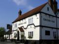 The Grouse & Ale logo