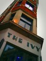 The Ivy image 5