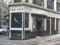 The Ivy image 7