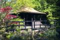 The Japanese Garden and Bonsai Nursery image 2