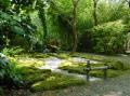 The Japanese Garden and Bonsai Nursery image 4