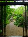 The Japanese Garden and Bonsai Nursery image 6