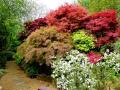 The Japanese Garden and Bonsai Nursery image 1