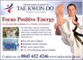 The Jason Rodd Academy Of Tae Kwon-Do image 2