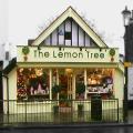 The Lemon Tree Ltd image 2