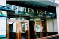 The Litten Tree logo