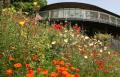 The Longhouse weddings image 6