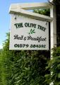 The Olive Tree Bed and Breakfast logo