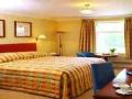 The Oriel Country Hotel & Spa image 2