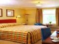 The Oriel Country Hotel & Spa image 2