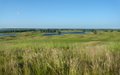 The Oxfordshire Golf Club logo