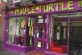 The Purple Turtle image 4