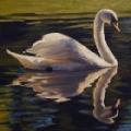 The Swan At The Vineyard image 2