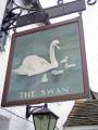 The Swan image 3