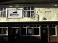 The Swan image 1