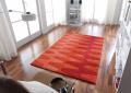 The Terra Firma Rug Company image 3