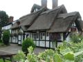 The Thatch at Faddiley, Nantwich. image 3