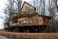 The Tree House image 5