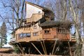 The Tree House image 10