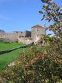 The Watch House at Crail image 1