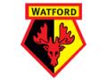 The Watford Association Football Club Ltd. logo
