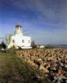 The West Usk Lighthouse Mongolian Yurt image 6