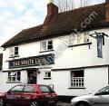 The White Lion image 1