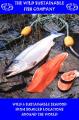 The Wild Sustainable Fish Company image 2
