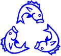 The Wild Sustainable Fish Company logo