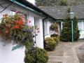 The Willow House Bed and Breakfast and Pub image 7