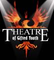 Theatre of Gifted Youth image 1