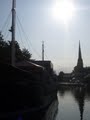 Thekla image 2