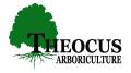 Theocus Arboriculture logo