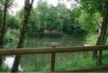 Thetford Forest Camping & Caravan Club Park image 8