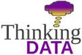 Thinking Data Limited logo