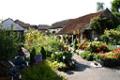 Thornbury Garden Shop image 2
