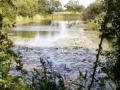 Thornham Fishing Lake image 3