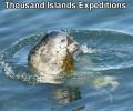 Thousand Islands Expeditions image 3