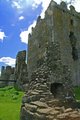 Threave Castle image 3