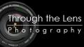 Through the Lens Wedding Photography logo