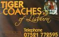 Tiger Coaches of Lisburn logo