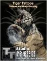 Tiger Tattoos logo